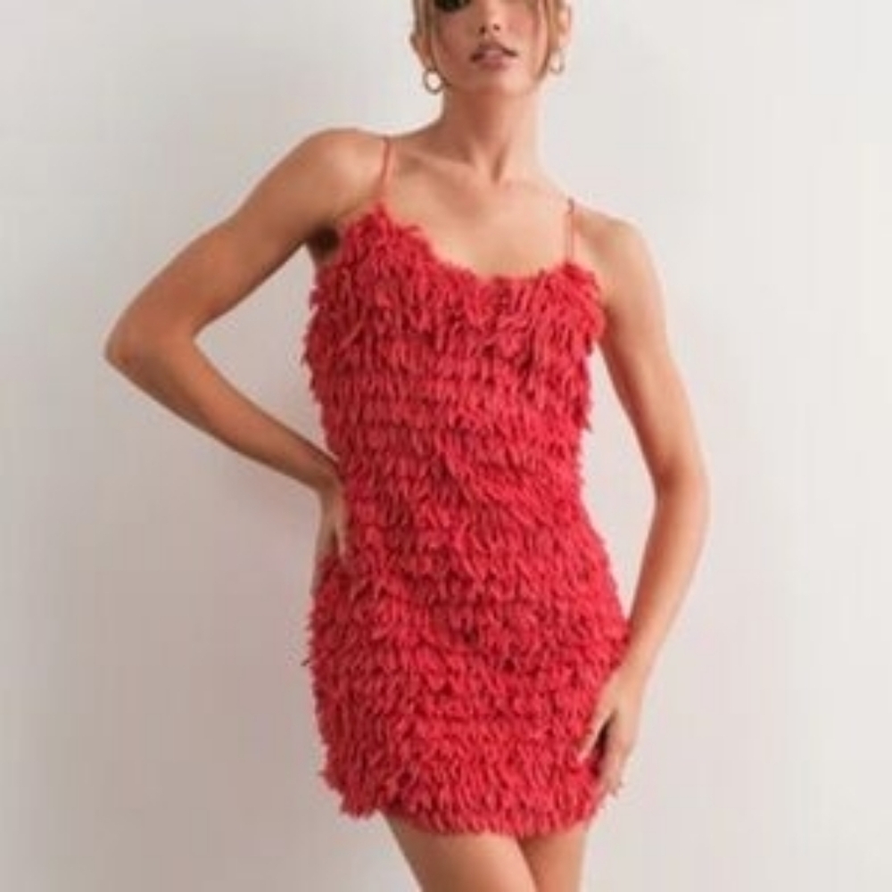 Pretty Garbage Fur Dress